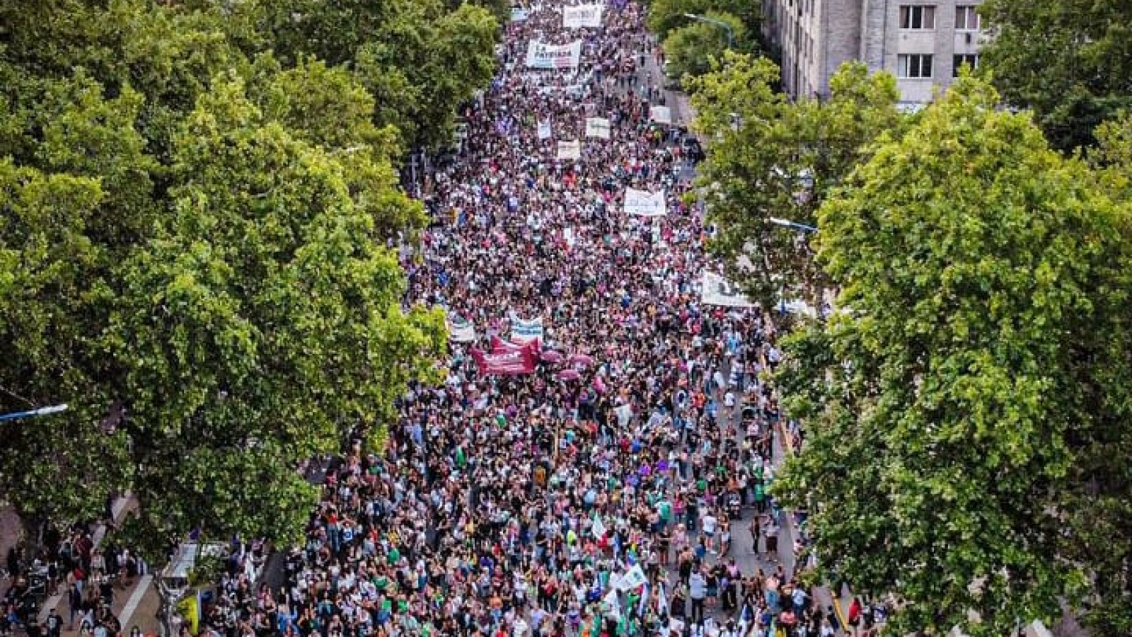 Una Argentina copada por Mujeres. En todas las provincias del país, manifestaciones multitudinarias