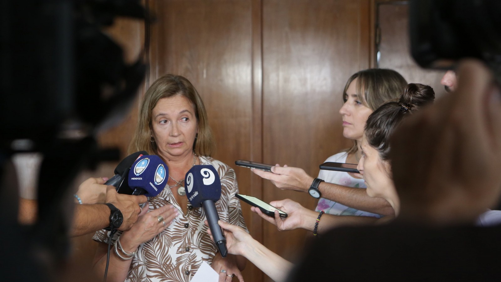 Dengue: la enfermedad que acecha a la Argentina ya afecta a los mendocinos