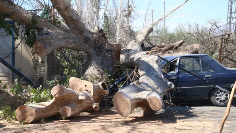 Amenaza de Zonda con fuertes ráfagas desde el mediodía