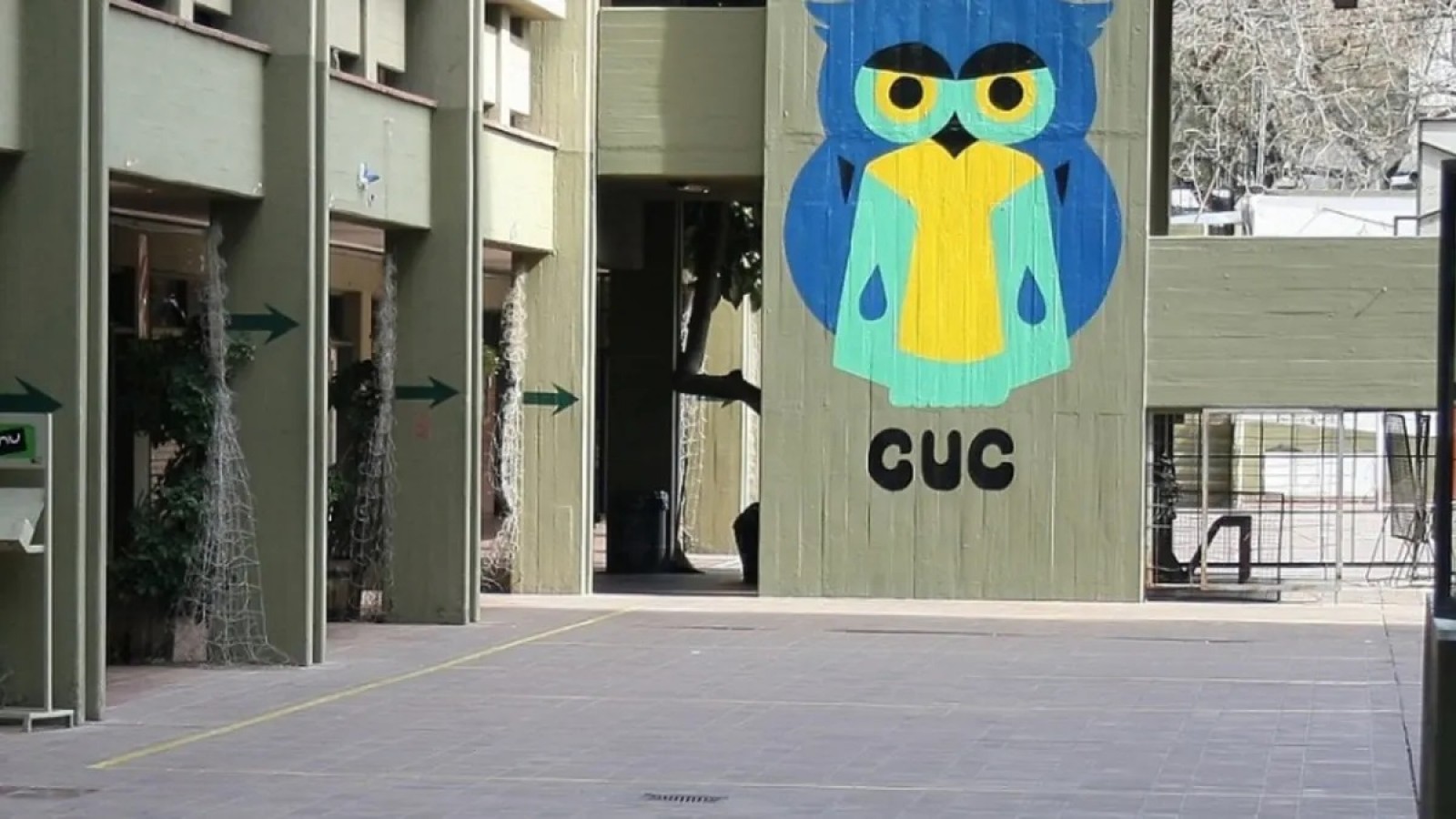 Una docente diagnosticada con dengue murió y se investiga si fue por la enfermedad