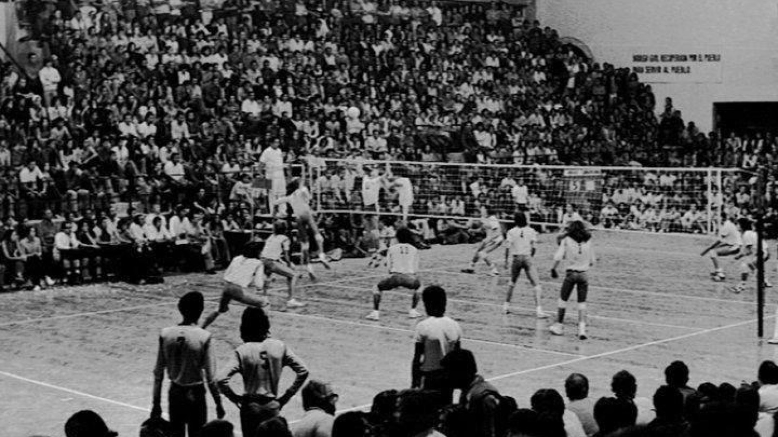 El Ribosqui cumple 50 años de historia