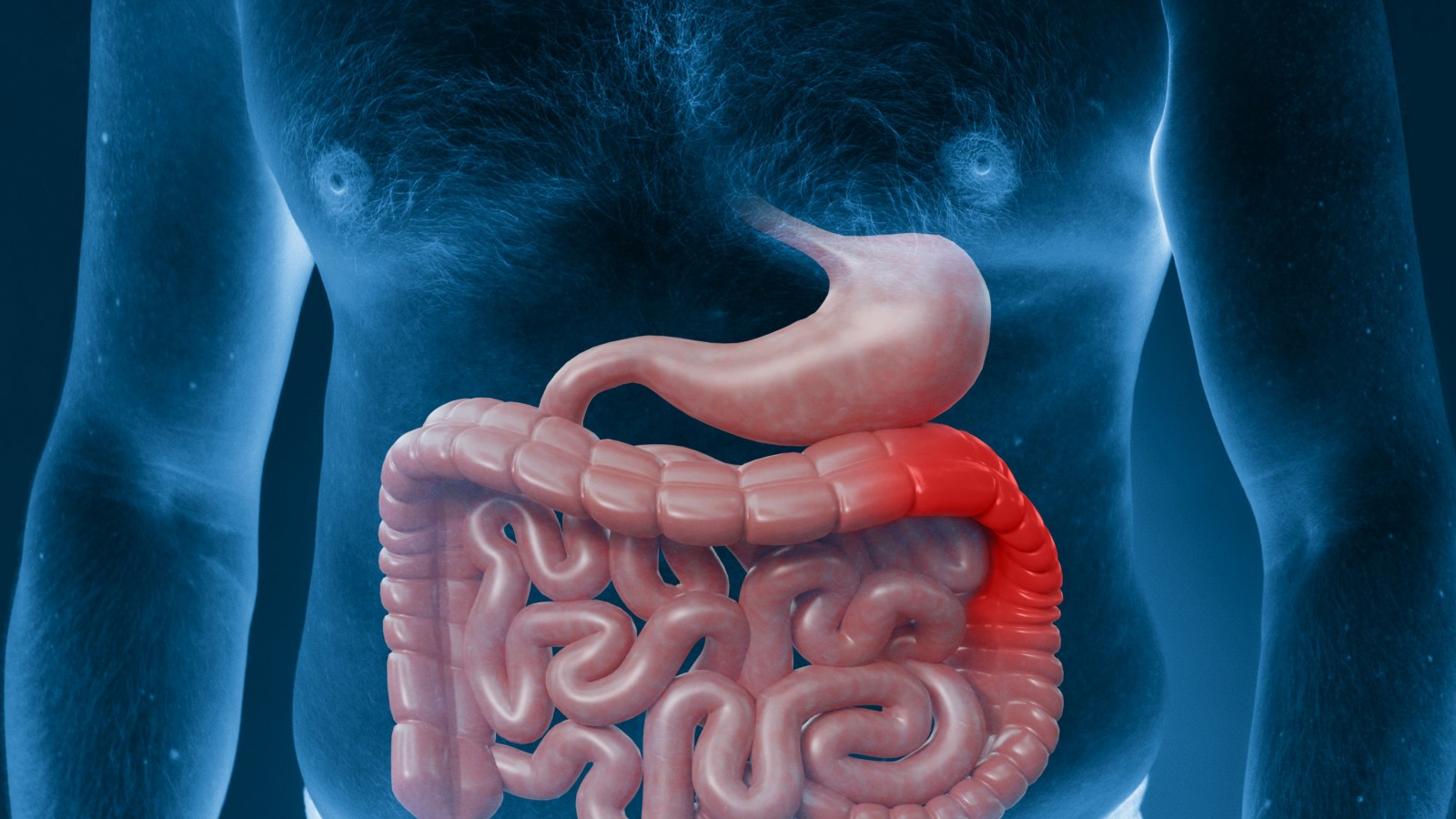 El colon irritable provoca inflamación, dolores abdominales y pérdida de apetito.