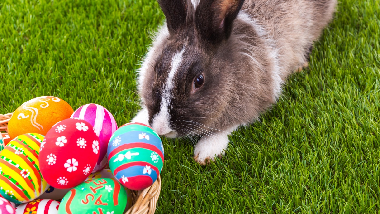 Huevos De Pascua Por Qué Se Regalan En Semana Santa Y Qué Tienen Que Ver Con El Cristianismo