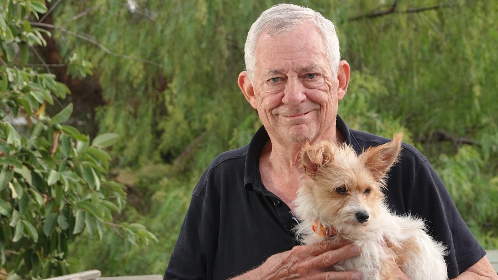 Jubilaciones. Dólares. Banco Central. Volvieron a meternos el perro, lo confirmó Milei en CNN