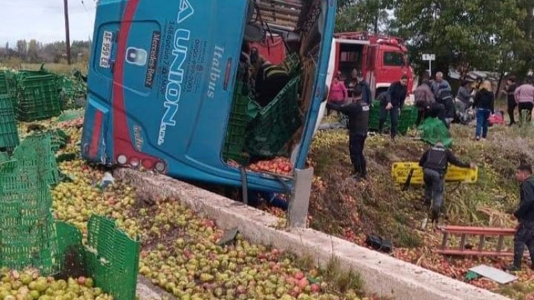 Accidente fatal en General Alvear, Mendoza. Un micro y un camión. Tres muertos y heridos