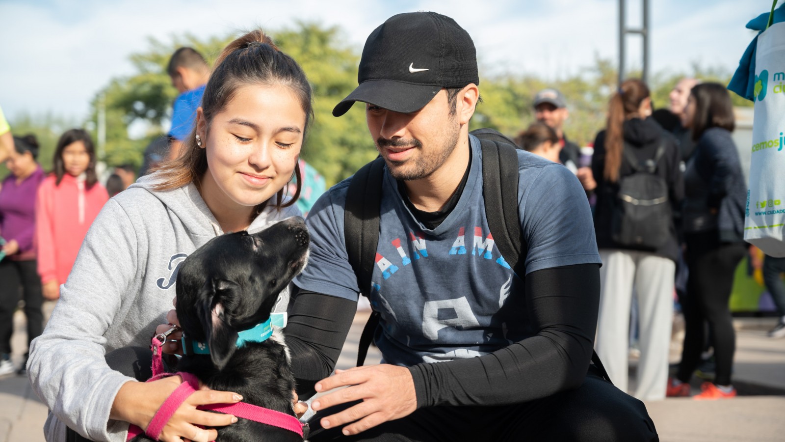 Móvil Veterinario de la Ciudad en mayo
