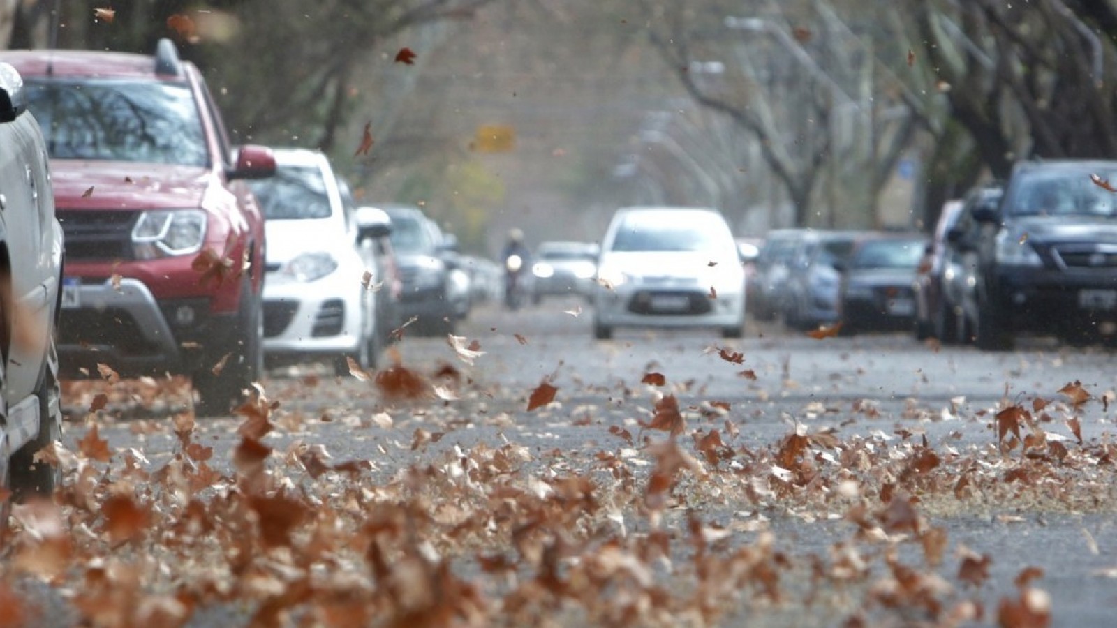 ¿A qué hora llegará el viento Zonda al llano?