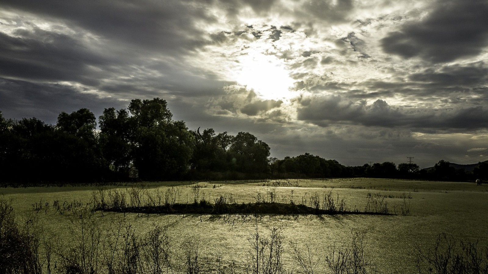 Nublado o Nuboso: ¿Cuál es la diferencia?