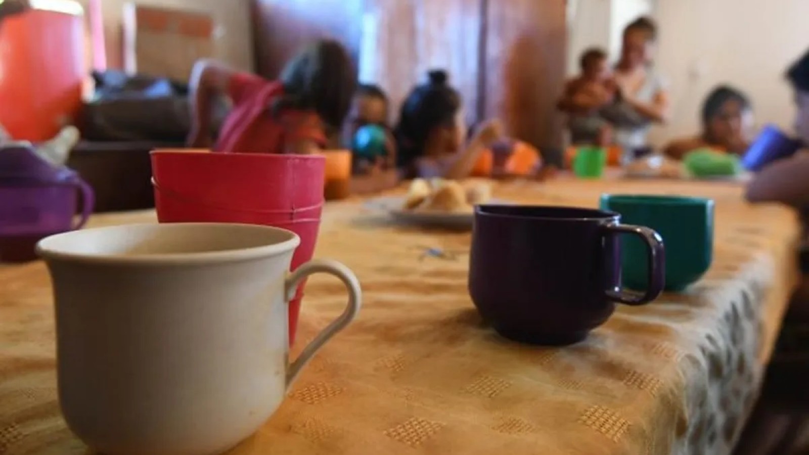 El gobierno de Milei guarda 5 millones de kilos de alimentos en un galpón