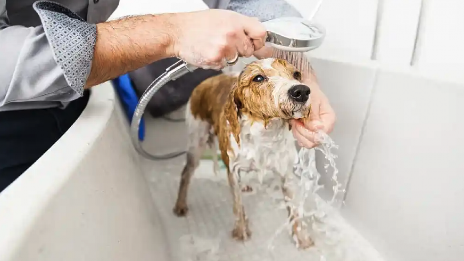 Maximizando el Espacio: Consejos para Baños Pequeños y Funcionales