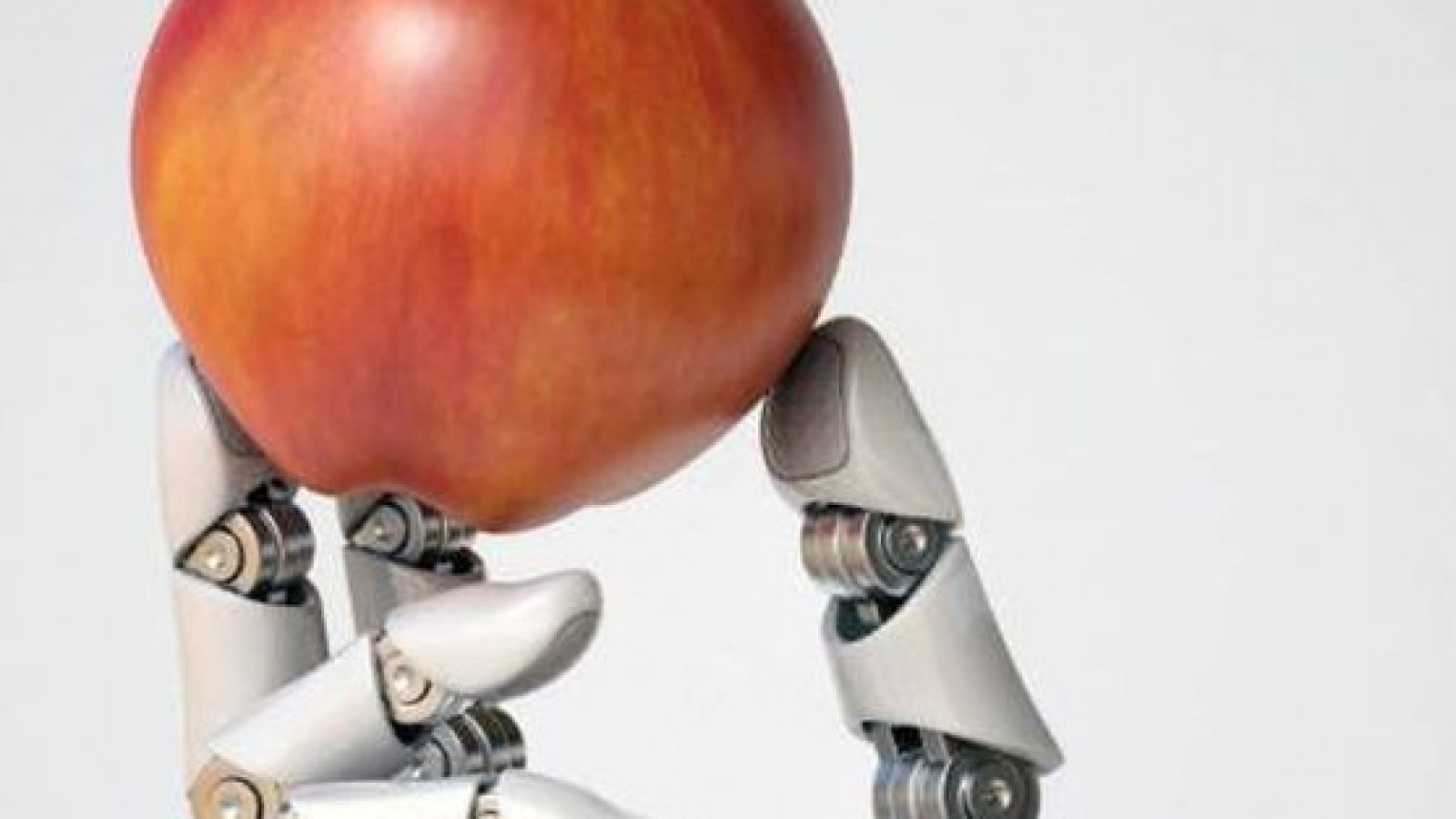 IA y nutrición: hacia una alimentación personalizada