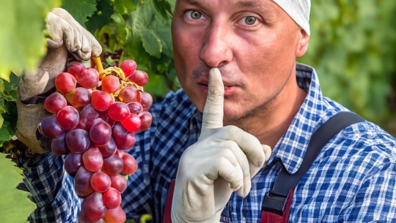 Adivinando decisiones. Desarrollo rural y desarrollo comercial, afuera.