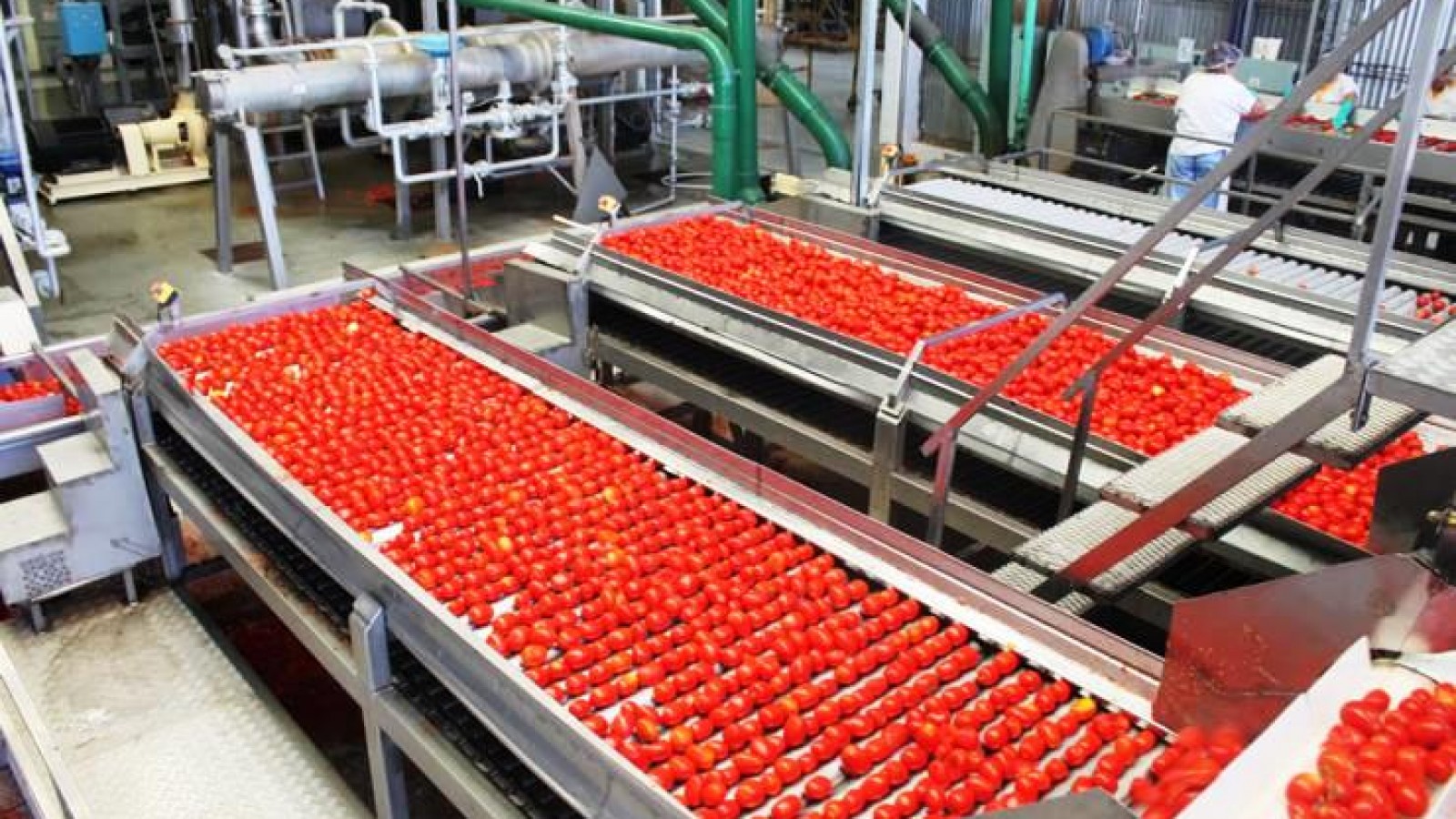 Cierra la histórica fábrica de conservas Canale del sur provincial