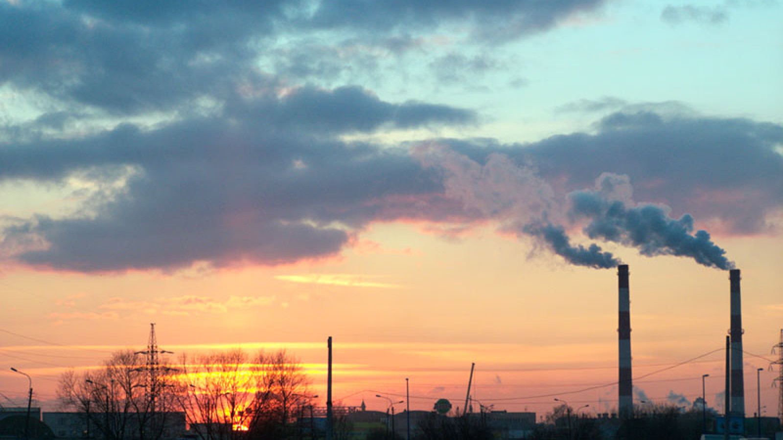 Documentales que denuncian: la realidad del cambio climático