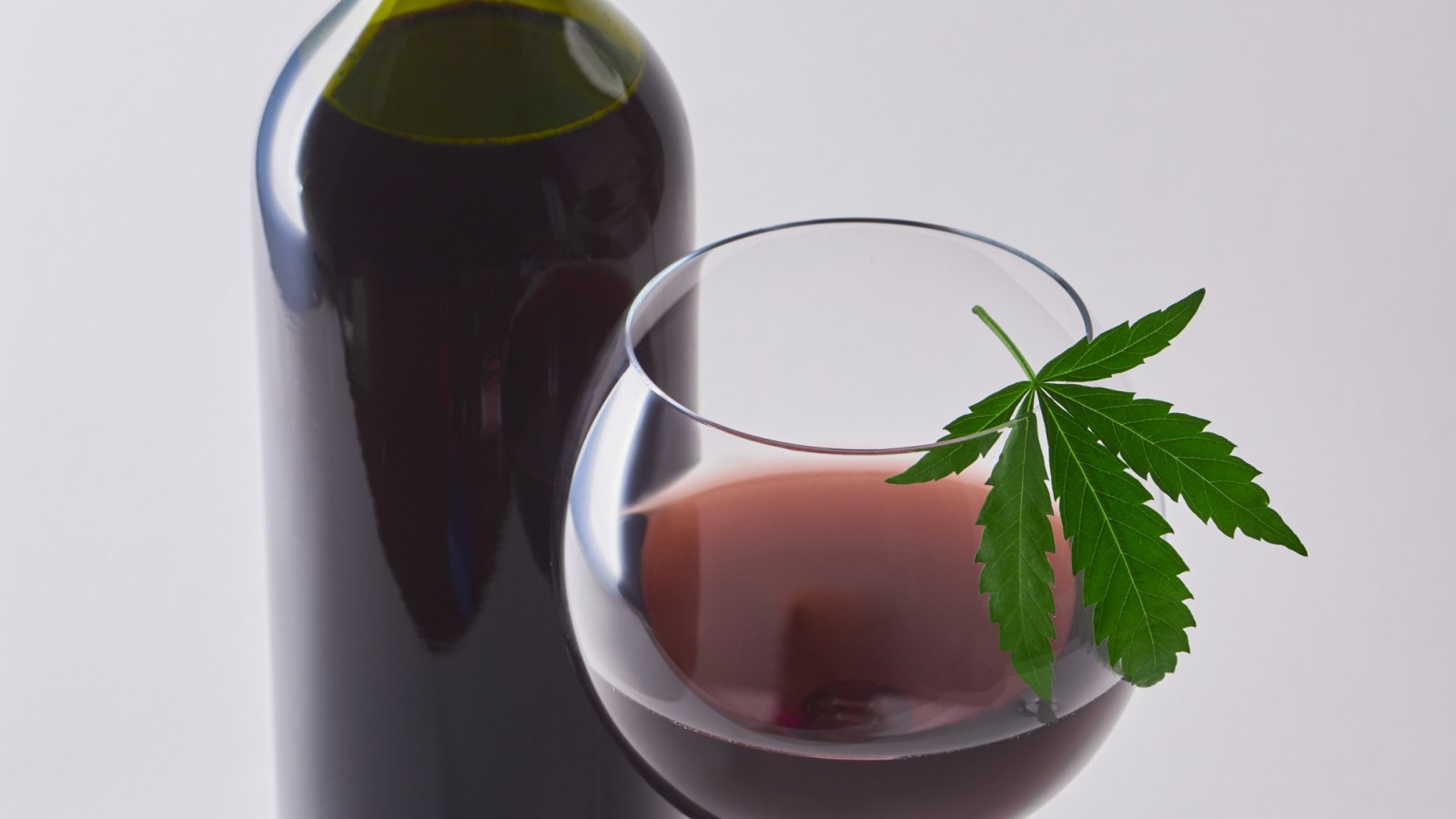 El cultivo de cannabis empieza a tener impacto en la agricultura argentina