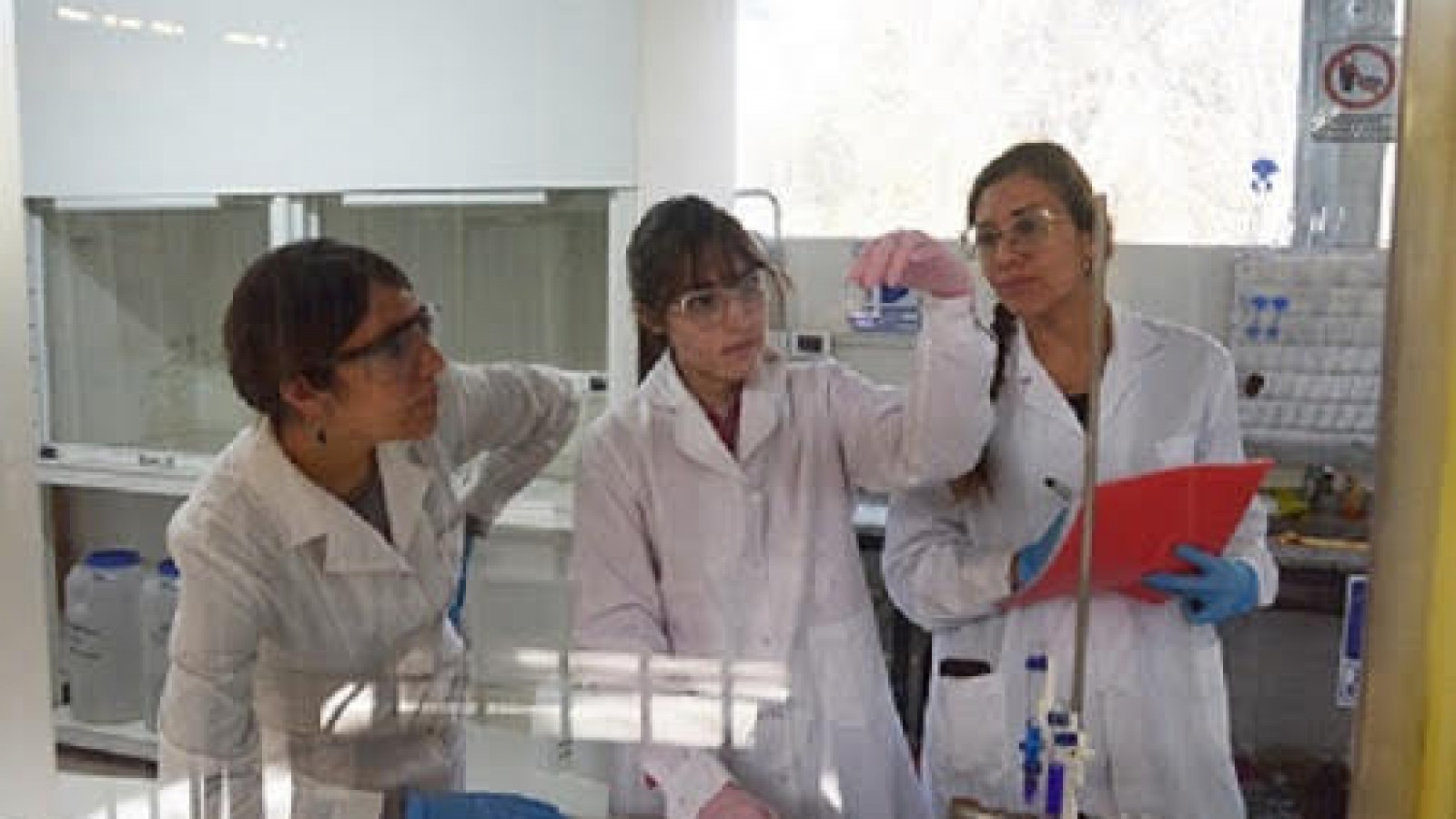 Especialistas del CONICET participaron de un estudio de revisión que destaca los desafíos de la producción industrial responsable en América Latina