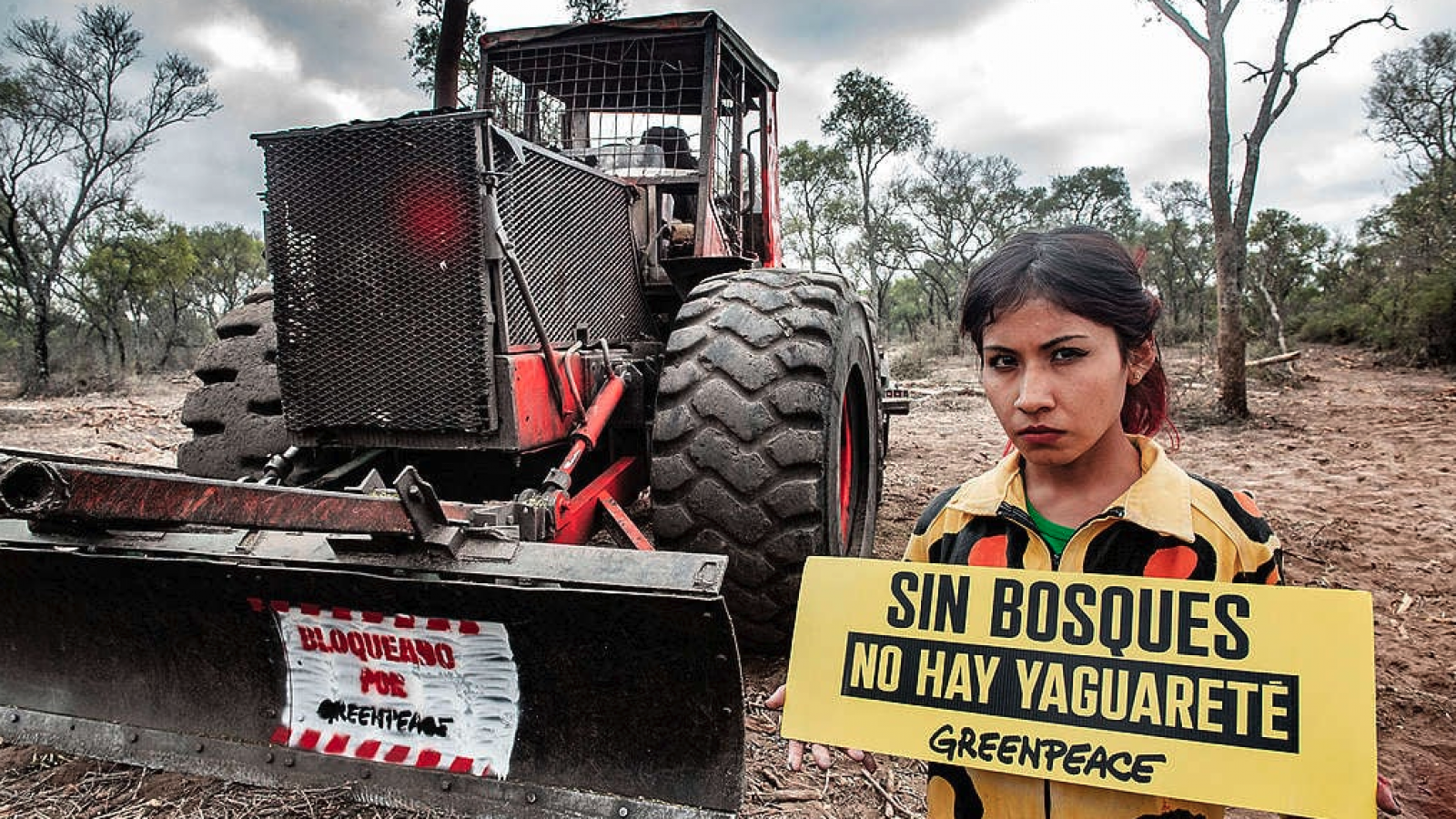 La deforestación en Argentina: causas y consecuencias