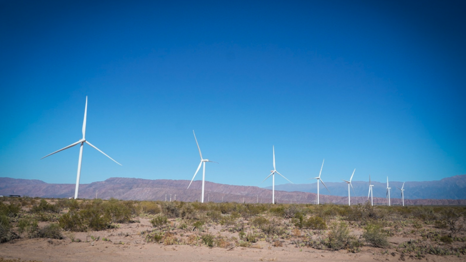 Energías renovables en Argentina: un camino hacia la sostenibilidad
