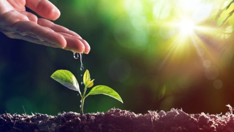 Agricultura sostenible: un futuro posible para Argentina