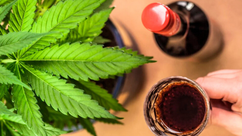 Flor de negocio. Las exportaciones de cannabis frente a las de vino y mosto