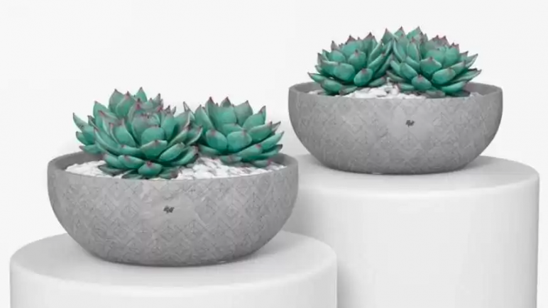 Macetas y contenedores: cómo elegir las adecuadas para tu jardín en Mendoza