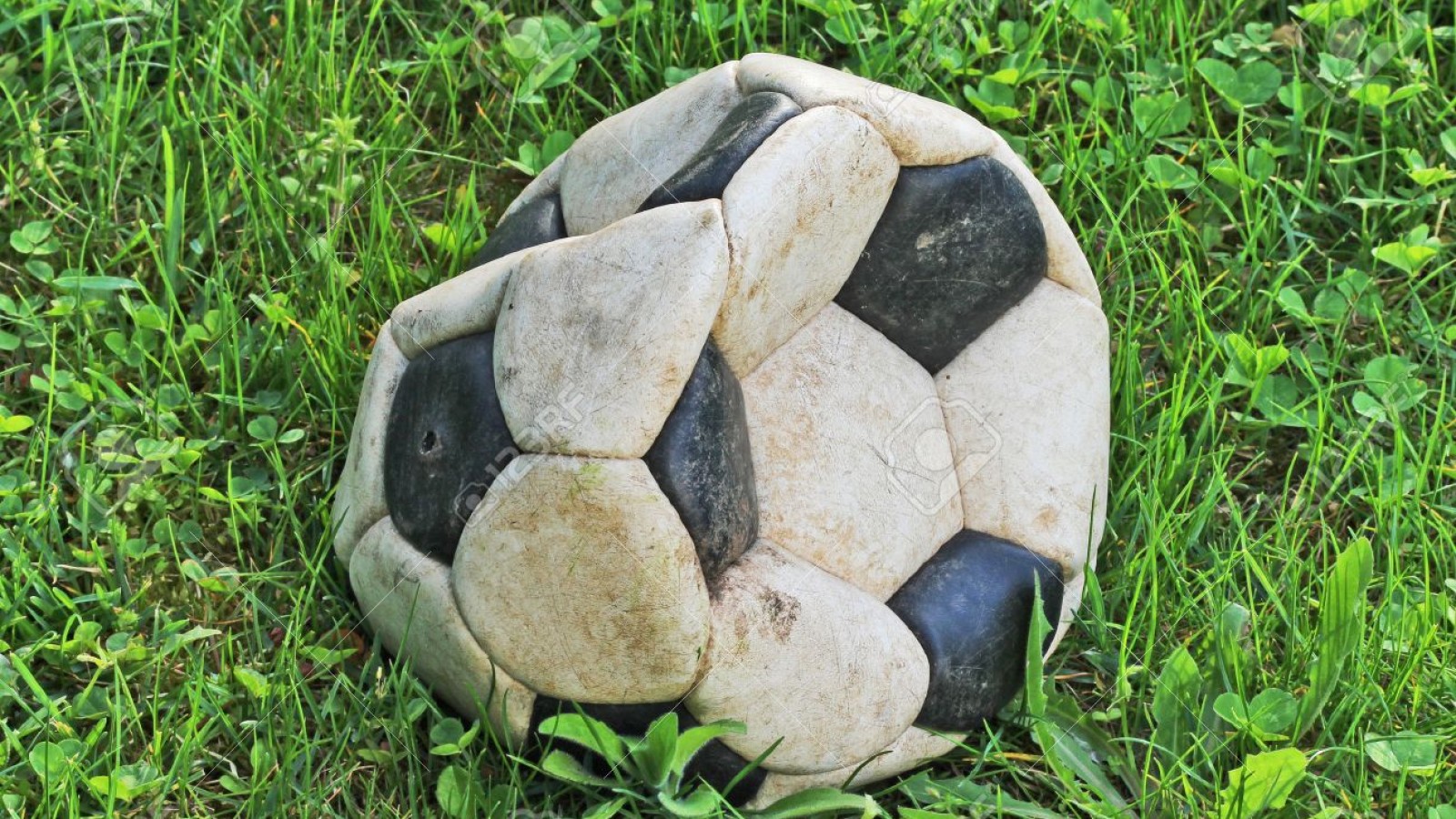 Comedia de enredos, pero sin ninguna gracia. Garro ¡afuera!