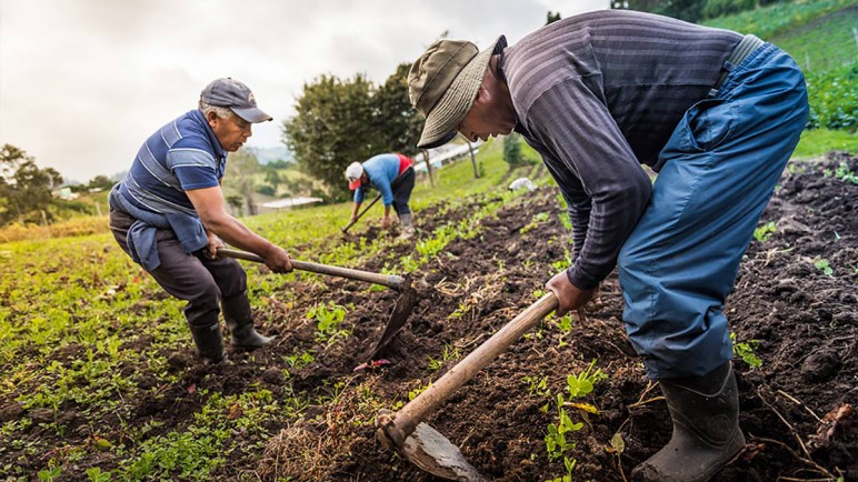 Cursos de agricultura sostenible en Mendoza: una iniciativa para el futuro