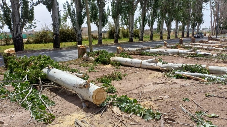 Sin agua, sin aviso y sin respuestas en Luján