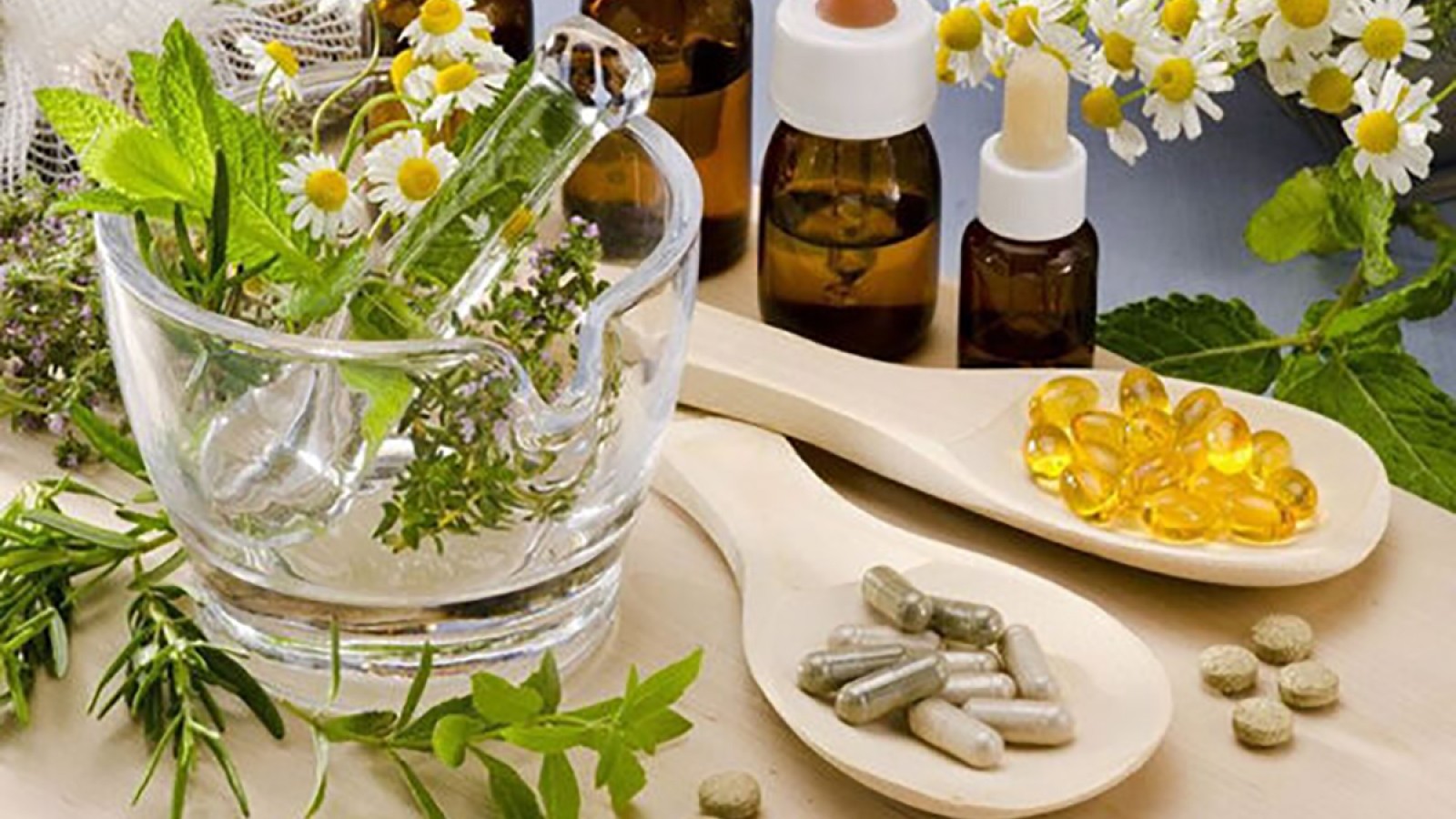 Fitoterapia: el poder de las plantas en la medicina natural