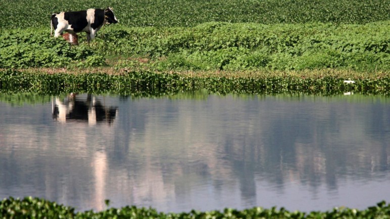 El impacto de la agricultura en la contaminación del agua