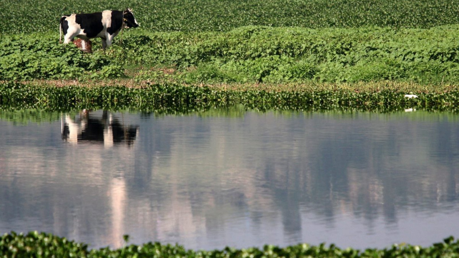 El impacto de la agricultura en la contaminación del agua