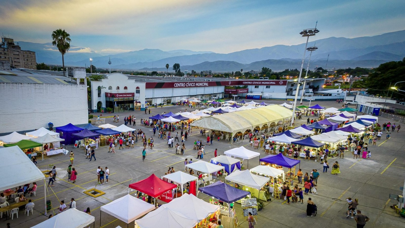 Eficiencia en el consumo de combustible: consejos para una conducción económica y ecológica