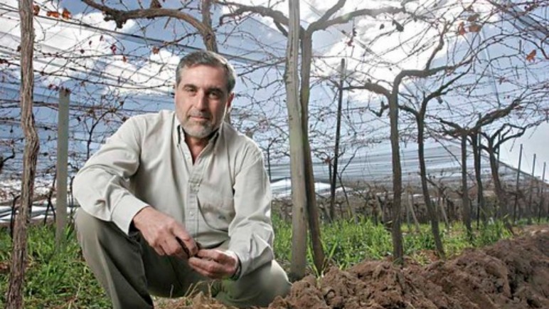 Cayó la industria del vino en el primer semestre del año