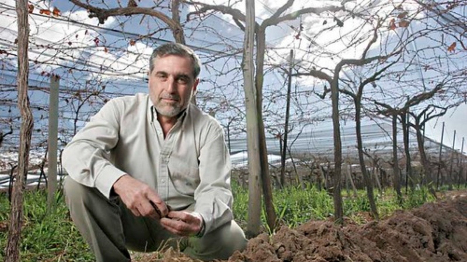 Cayó la industria del vino en el primer semestre del año