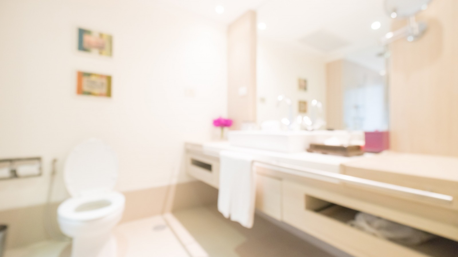 Elección de sanitarios: funcionalidad y estilo en el baño