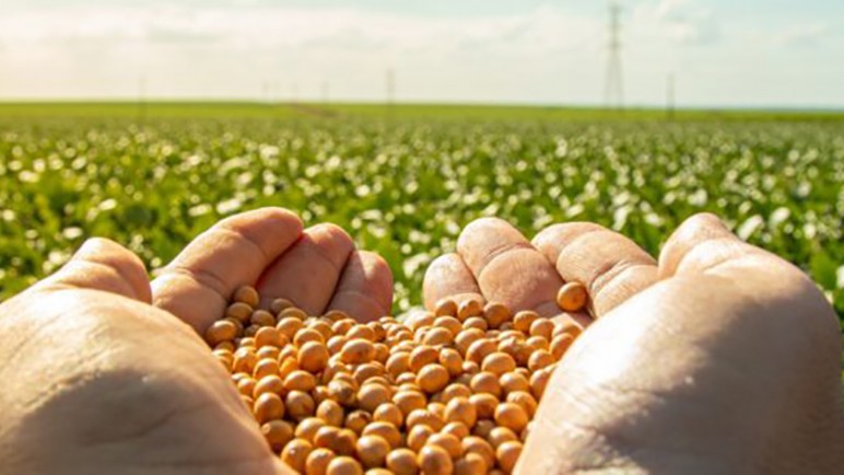 El cambio climático y la agricultura en Argentina