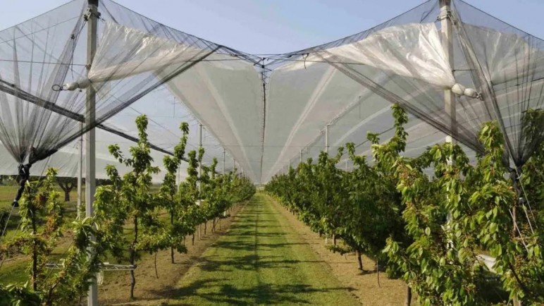 Ponen en marcha un nuevo seguro agrícola para pequeños productores