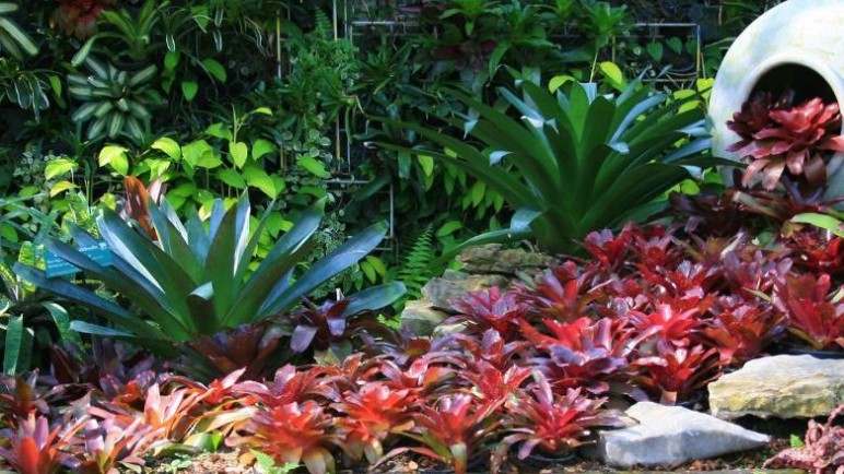 El arte de diseñar con plantas: cómo crear un jardín equilibrado y armonioso