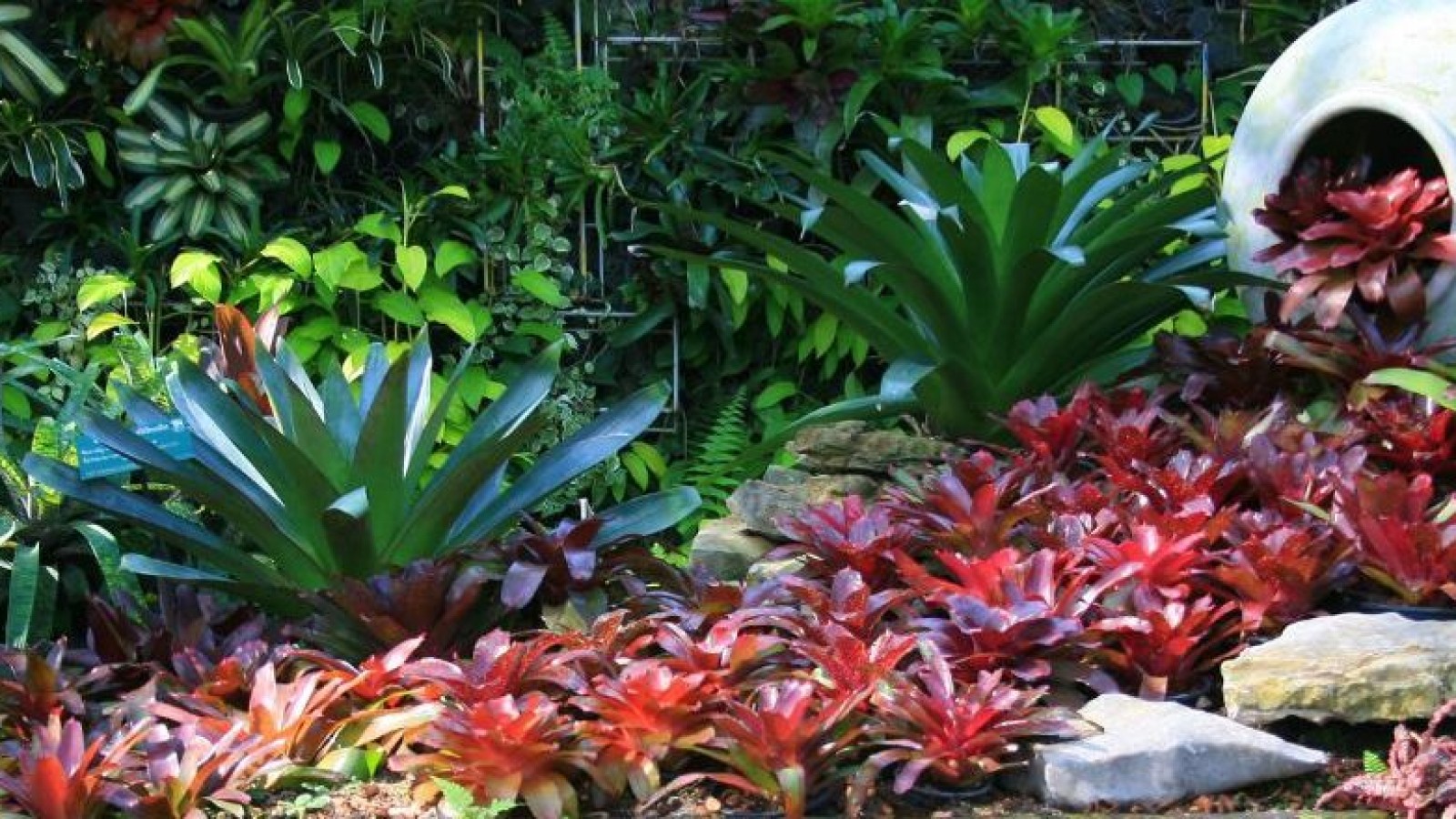 El arte de diseñar con plantas: cómo crear un jardín equilibrado y armonioso