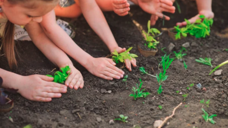La educación ambiental para niños: sembrando el futuro