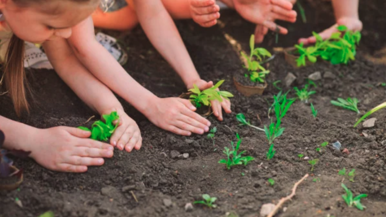 La educación ambiental para niños: sembrando el futuro
