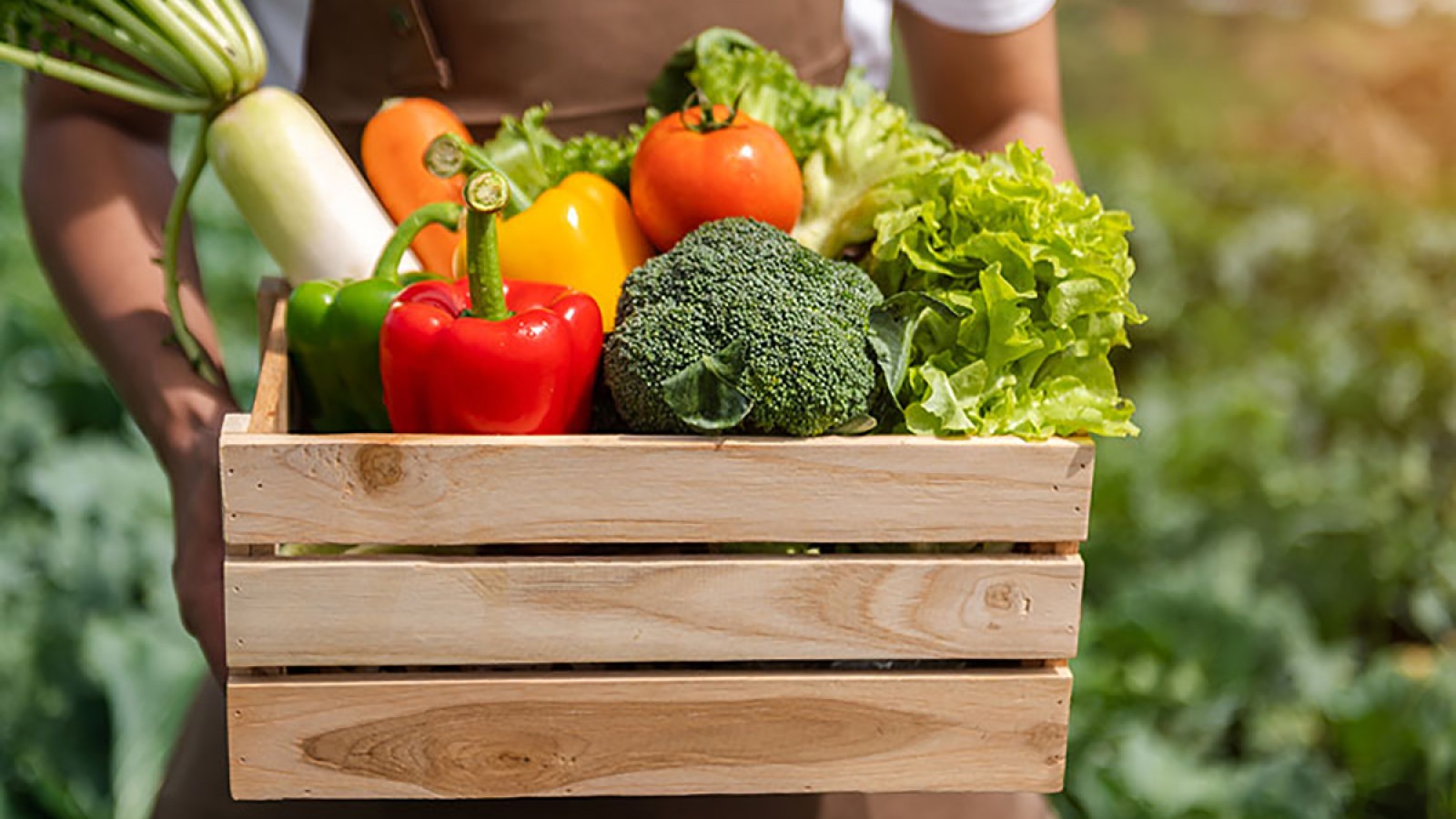 Alimentación sostenible: cómo reducir la huella de carbono a través de la dieta