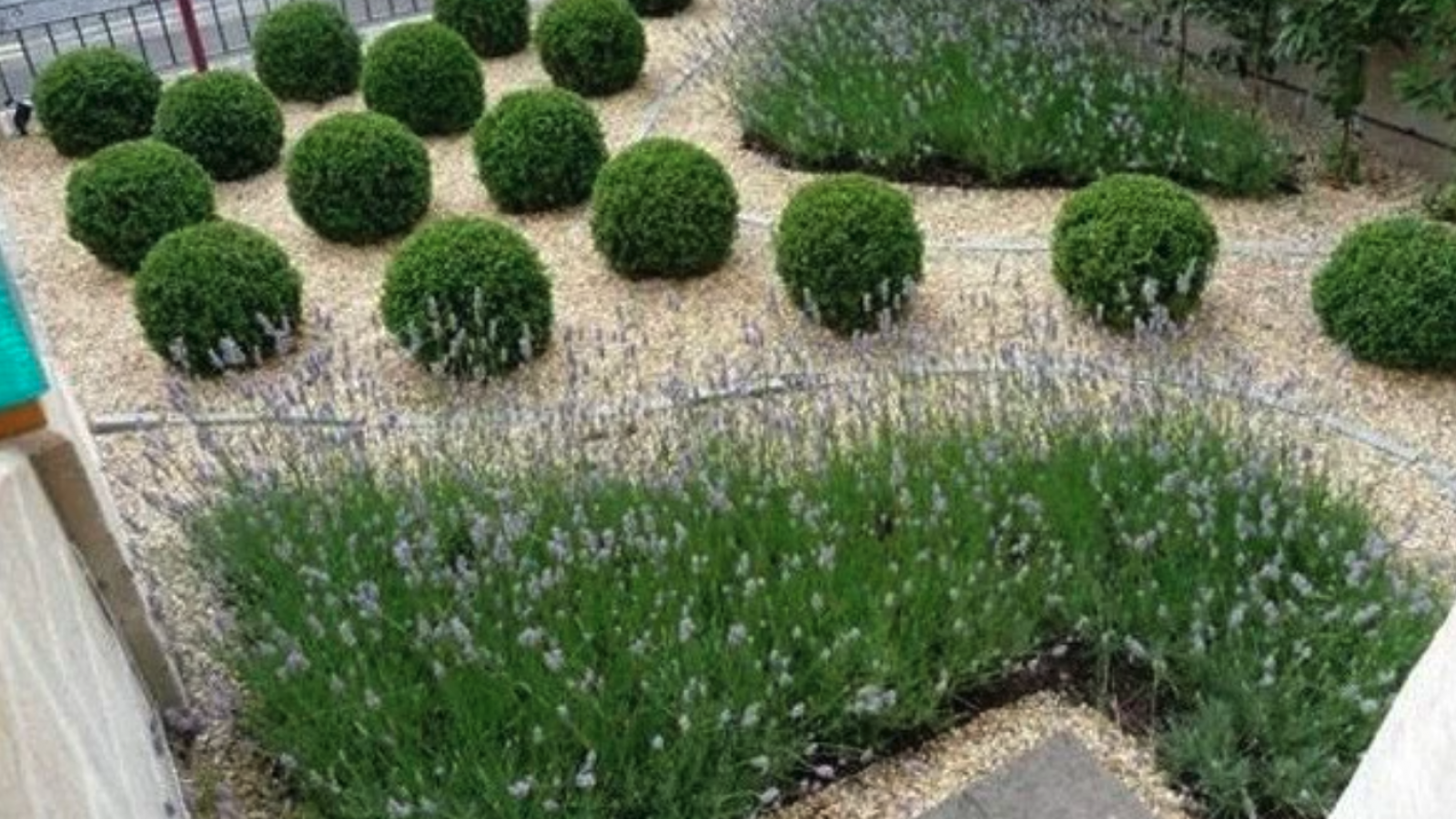 Cómo crear un jardín sostenible y amigable con el medio ambiente