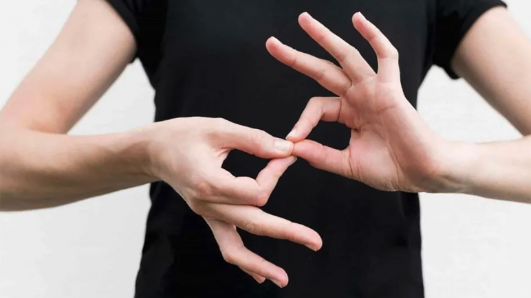 29 de Agosto: Día Nacional de la Lengua de Señas Argentina