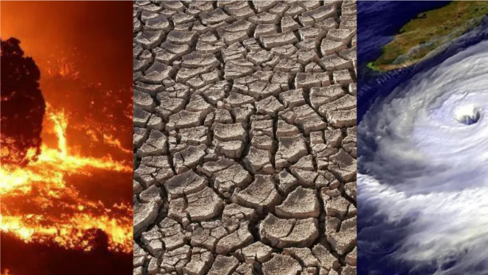 Cambio climático y salud: un desafío emergente en Argentina