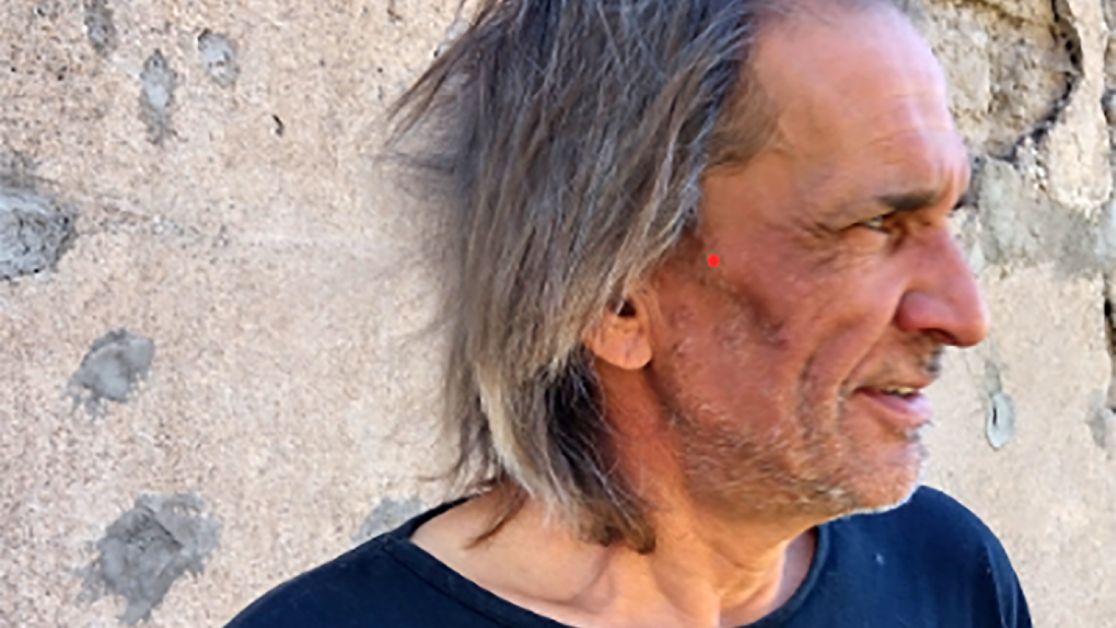 Si Preguntan por Mí, el nuevo libro de Enrique Pfaab