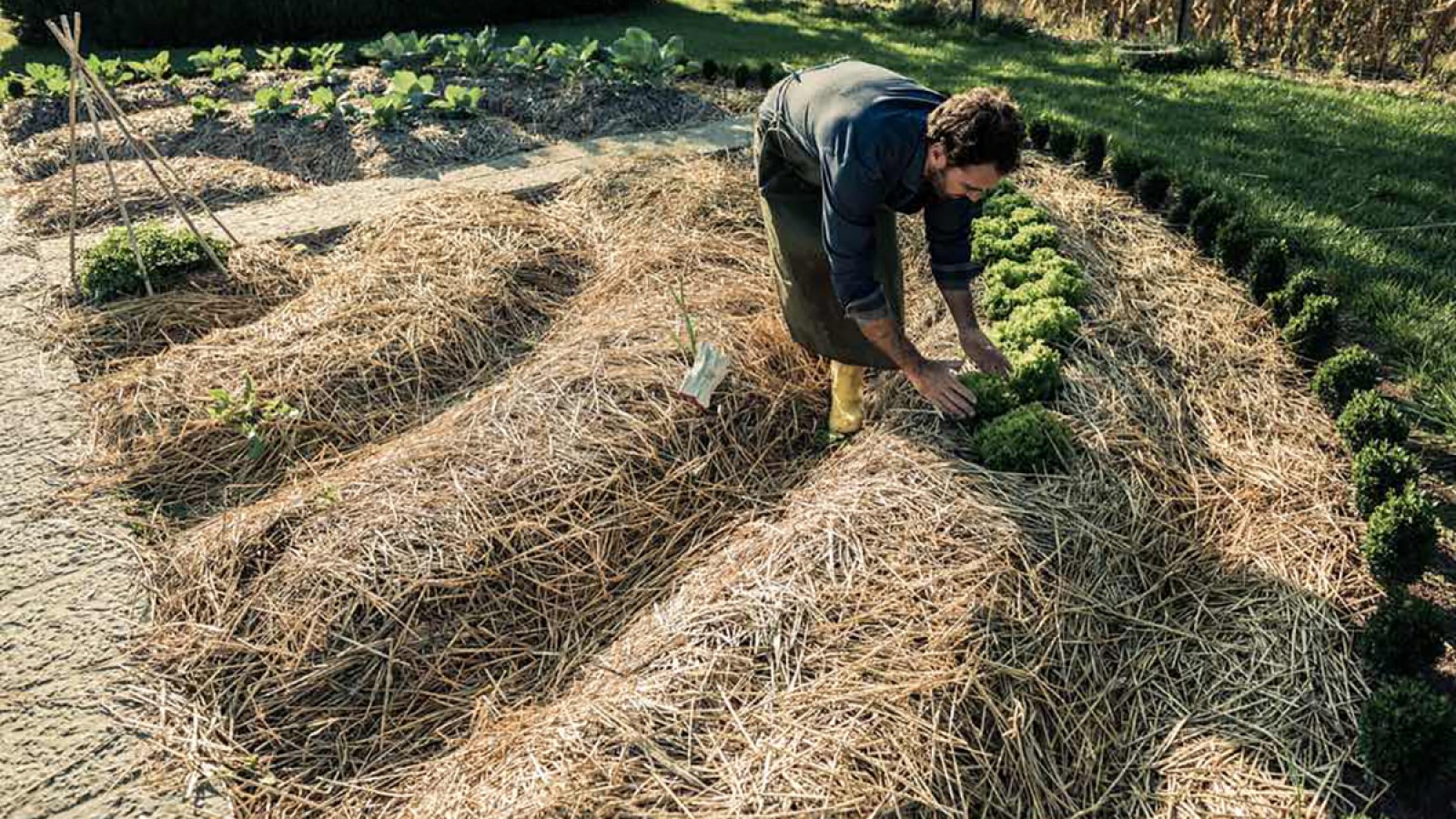 Permacultura: un enfoque integral para la agricultura sostenible