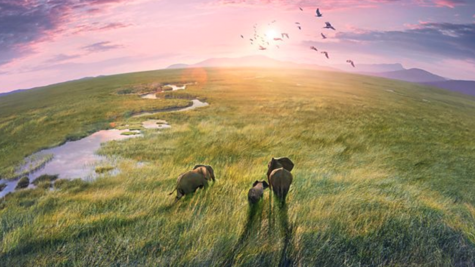 Documentales imperdibles en streaming: descubre historias que cambiarán tu perspectiva