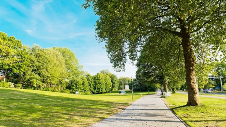 El rol de los parques nacionales en la conservación