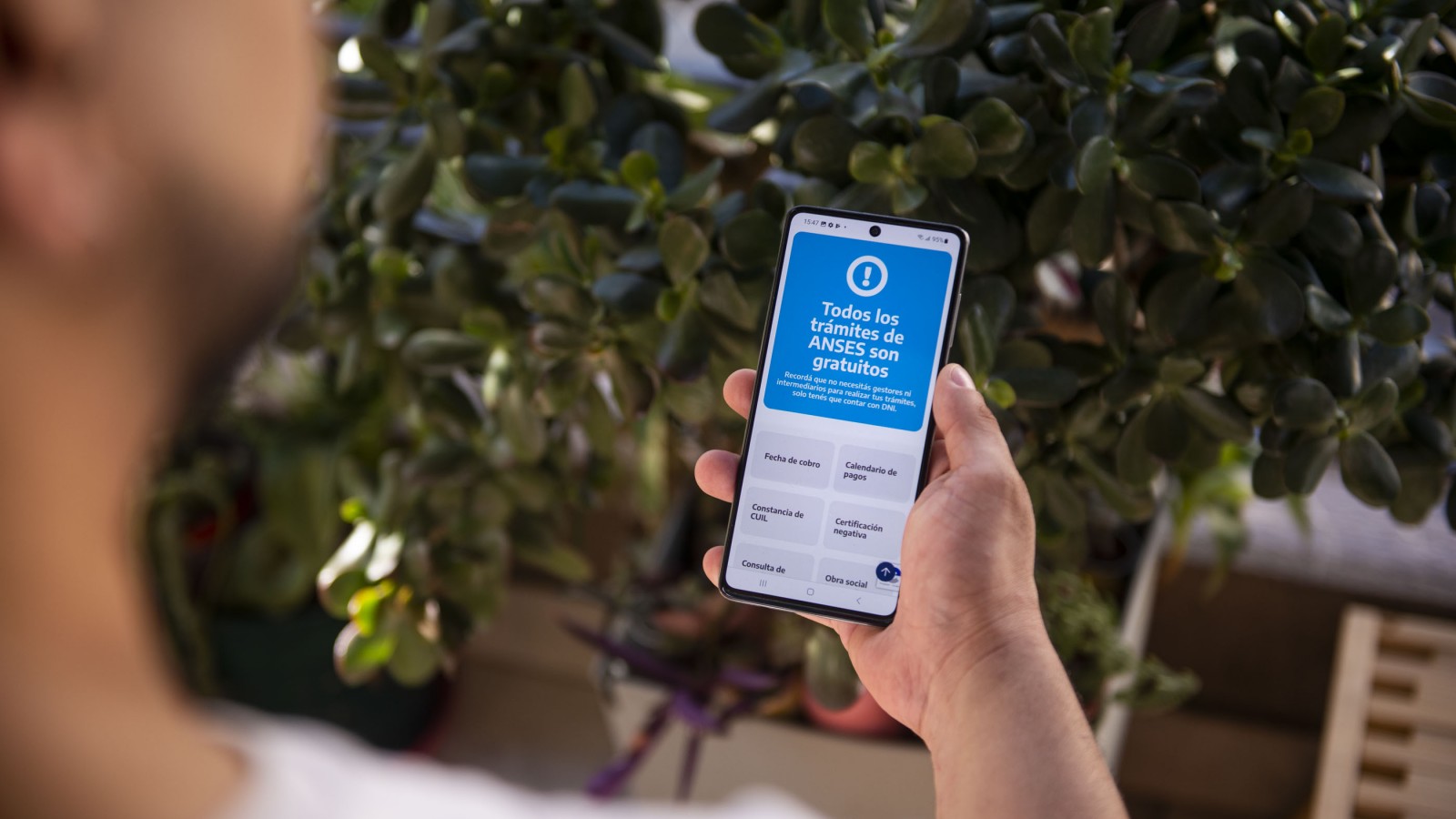 ANSES y Milei sorprendieron con los valores de la Tarjeta Alimentar en noviembre